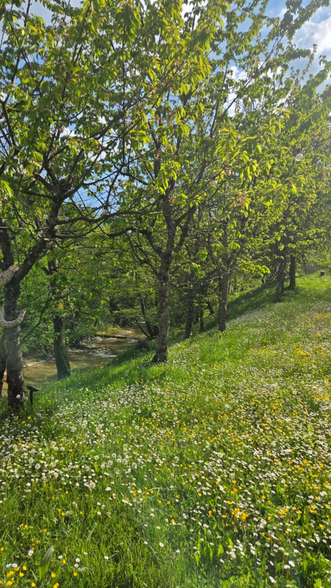 Borgo Corniola B&B Naturista Marradi Extérieur photo