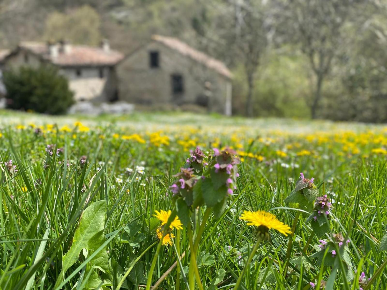 Borgo Corniola B&B Naturista Marradi Extérieur photo