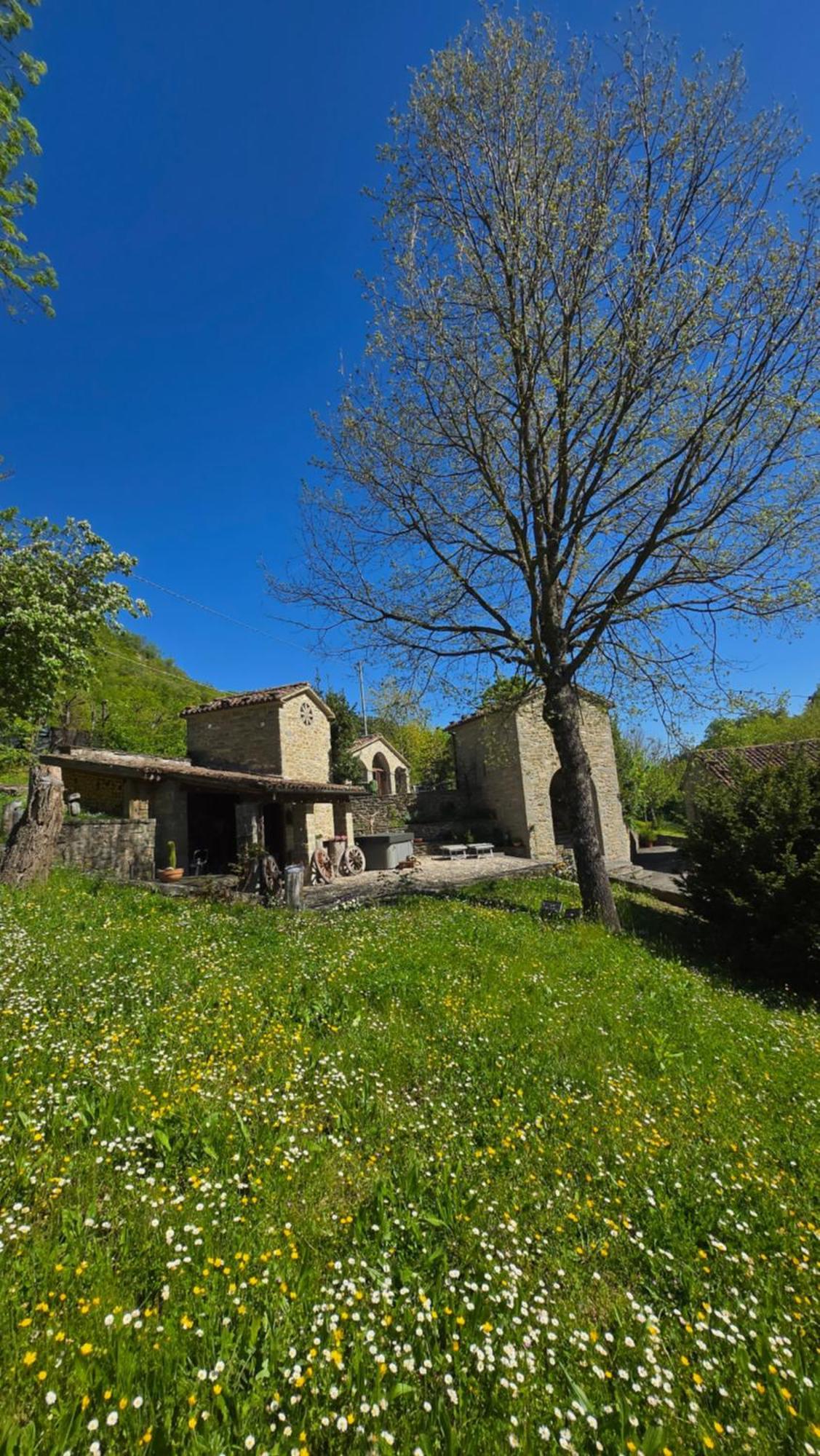 Borgo Corniola B&B Naturista Marradi Extérieur photo